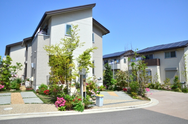 photo1